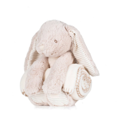 Rabbit and blanket